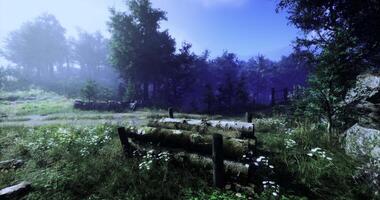 CGI Serene forest setting with logs and wildflowers under a clear sky video