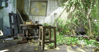 CGI Abandoned room with rustic furniture and overgrown plants in sunlight video