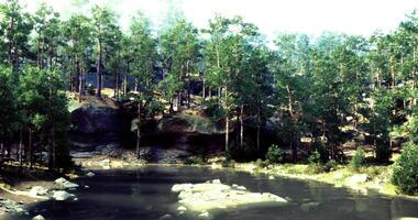 CGI Scenic view of a serene forest and reflective pond in daylight video