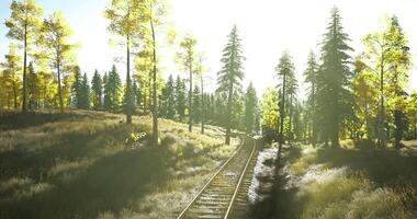 CGI Sunlight filters through trees along a winding train track in autumn landscape video