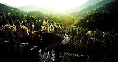 CGI Winding train tracks in a vibrant forest at golden hour video