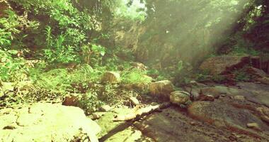 CGI Explore a serene natural landscape with sunlight filtering through trees video