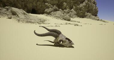 CGI Desert landscape featuring a ram skull with rocky backdrop under clear sky video