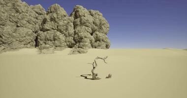 CGI Desolate desert landscape featuring twisted tree and rocky formations video