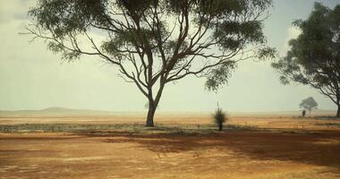 CGI Dry landscape features lone tree and sparse vegetation under cloudy sky video