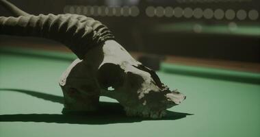 CGI Display of a ram skull resting on a green billiard table in dim lighting video