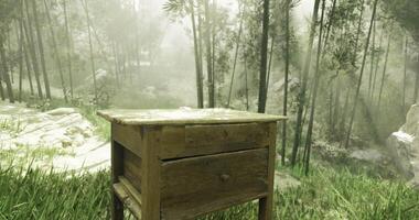 CGI Rustic wooden table in the misty bamboo forest during a serene morning video