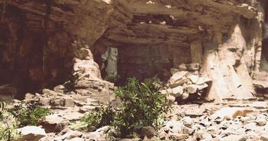 CGI Exploring a secluded cave with rock formations and greenery in natural light video