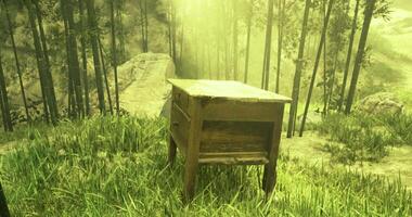 CGI Rustic wooden table in a serene bamboo forest at golden hour video