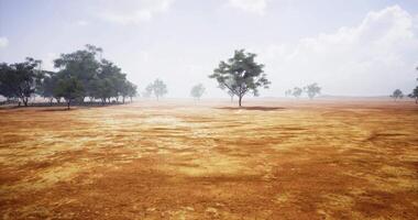 CGI Vast dry landscape with scattered trees under a cloudy sky during midday video