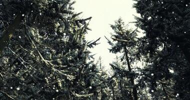 CGI Winter wonderland of snow covered trees in a tranquil forest setting video