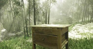 CGI Weathered wooden table in a tranquil forest setting during daylight video