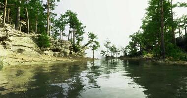 CGI Serene lakeside view with reflections and lush green trees at dawn video