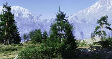 CGI Daytime exploration of a lush green landscape with mountainous backdrop video