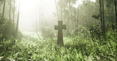 CGI Sunlight filters through trees illuminating a weathered grave marker in nature video