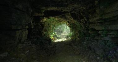 CGI Light filters through a cave entrance illuminating the lush forest beyond video