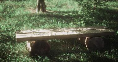 CGI Natural wooden bench on a grassy field under soft sunlight in a serene park video