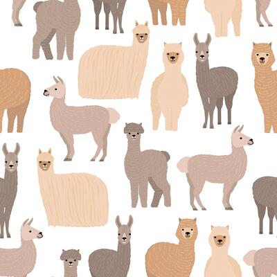 Seamless pattern with cute llamas and alpacas on white background. Backdrop with funny wild wooly domestic animals. Colorful illustration in flat cartoon style for fabric print, wallpaper.