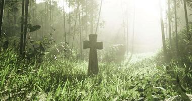 CGI Grave marker stands in misty forest surrounded by tall grass and sunlight video