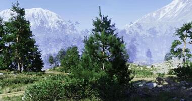 CGI Mountain landscape featuring lush greenery and towering trees during daytime video