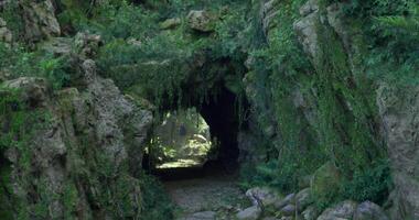 CGI Lush green tunnel surrounded by rocks in a natural forest setting video