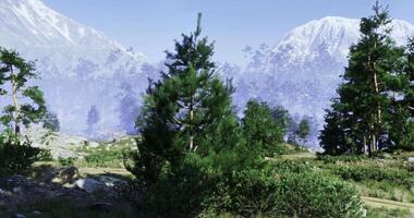 CGI Exploration of vibrant forest landscapes in a serene mountain setting video