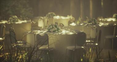 CGI Elegant outdoor event setup in a serene forest setting during golden hour video