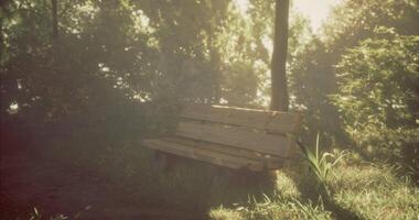CGI Serene wooden bench surrounded by lush greenery in a tranquil park setting video
