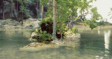 CGI Lush greenery envelops a small island surrounded by calm water video
