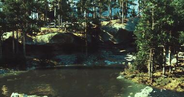 CGI Reflective pond surrounded by lush trees in a tranquil forest setting video