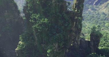 CGI Lush greenery enveloping towering rock formations in a serene landscape video