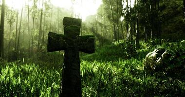 CGI Moss covered cross stands tall in a serene forest landscape at dawn video