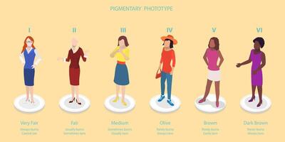Skin pigmentary types illustration vector