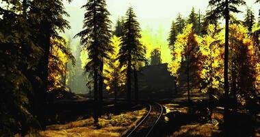 CGI Scenic railway path through vibrant autumn forest in tranquil setting video