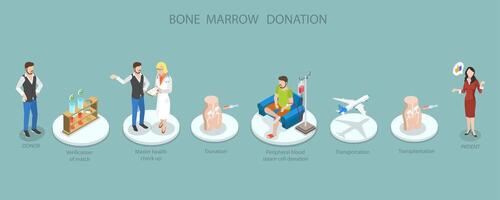 Bone marrow donation process visual guide vector