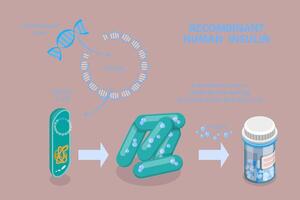 3D Isometric Flat Conceptual Illustration of Recombinant Human Insulin , Science and Technology vector