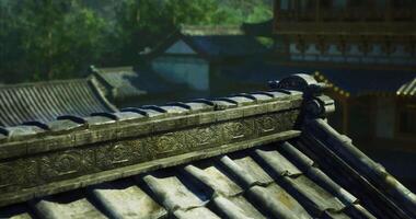 CGI Traditional architecture showcases intricate details in a serene location video
