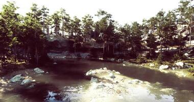 CGI Calm lakeside view surrounded by lush trees in a serene natural setting video
