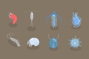 3D Isometric Flat Set of Varieties Of Plankton, Collection of Small Water Organisms vector