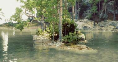 CGI Serene island surrounded by calm water and lush greenery in daylight video