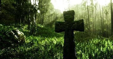 CGI Ancient stone cross in lush green forest during golden hour light video