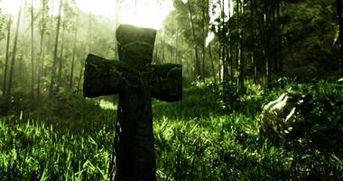 CGI Moss covered cross amongst lush greenery in a serene forest setting video