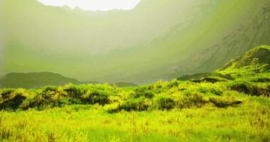 CGI Lush green valley landscape with sunlight filtering through the mountains video
