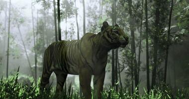 CGI Majestic tiger navigating through dense bamboo forest at dawn video
