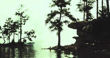 CGI Tranquil lakeside view with silhouetted trees and serene waters at dusk video