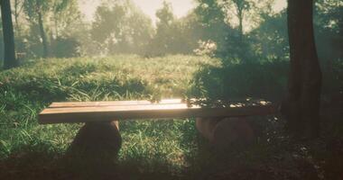 CGI Wooden bench in a tranquil park surrounded by sunlight and greenery video