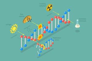 Genetic mutations caused by environmental factors vector