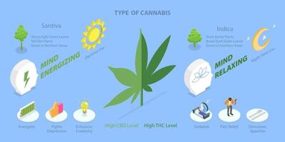 3D Isometric Flat Conceptual Illustration of Tipe Of Cannabis, The List of Cannabinoids vector