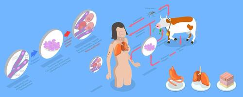 3D Isometric Flat Conceptual Illustration of Anthrax, Labeled Medical Infection Disease Cycle Scheme vector