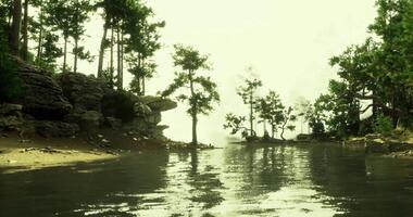 CGI Reflection of trees on calm water surface in a serene natural setting video